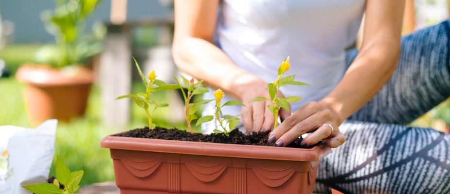 Conheça a linha Romano de Jardineiras tradicionais Nutriplan
