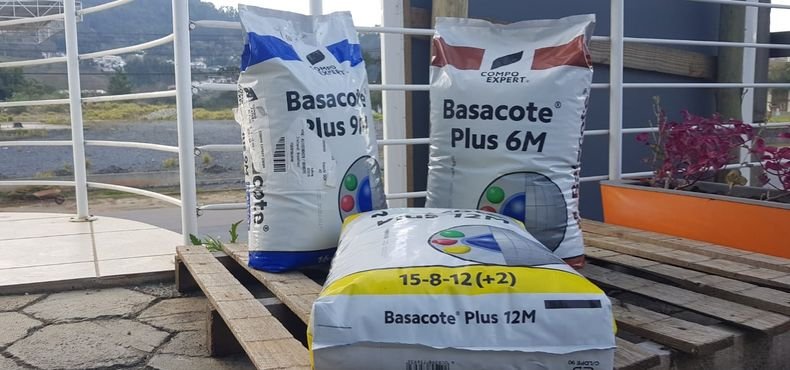 Como cultivar utilizando o fertilizante Basacote