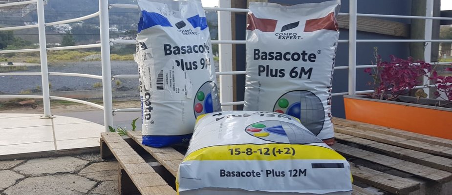 Como cultivar utilizando o fertilizante Basacote