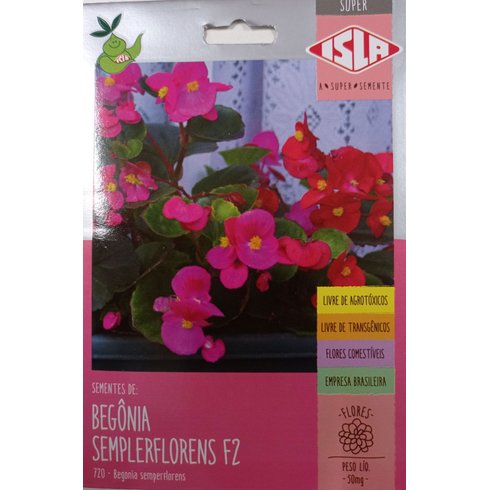 semente begonia sempleflorens f2 capa isla epoca plantio