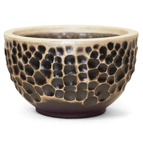 vaso luna envelhecido nutriplan