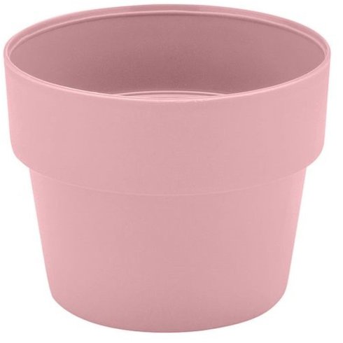 vaso cultivar p ou r
