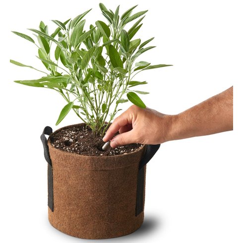 fertilizante bokashi capsulas yes we grow vaso