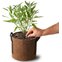 fertilizante bokashi capsulas yes we grow vaso