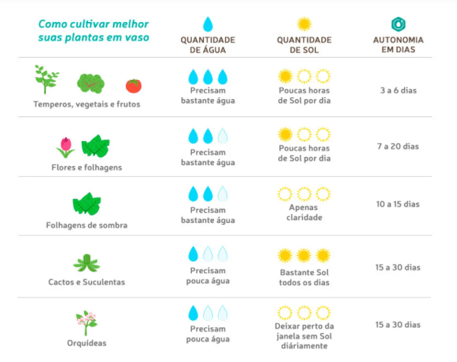 Vasos Raiz quantidade de gua para cada tipo de planta