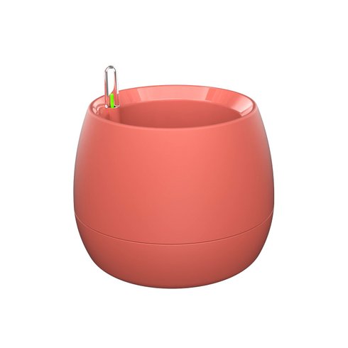 vaso mini botanika coral