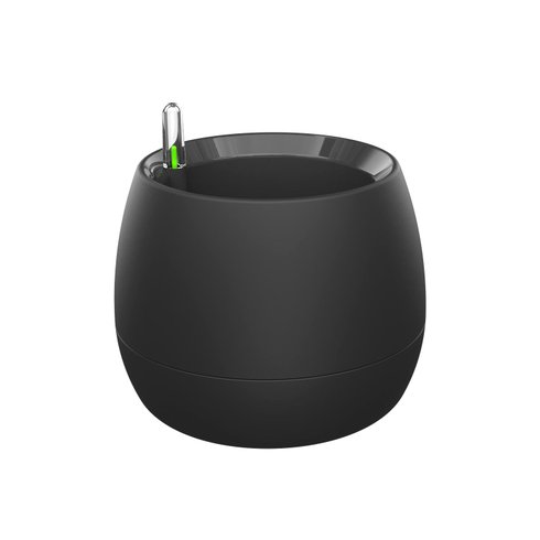 vaso mini botanika preto