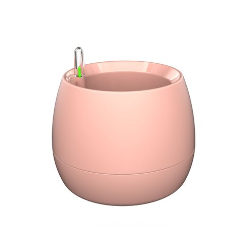 vaso mini botanika rose