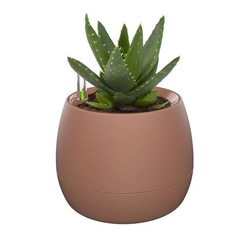 vaso mini botanika terra planta