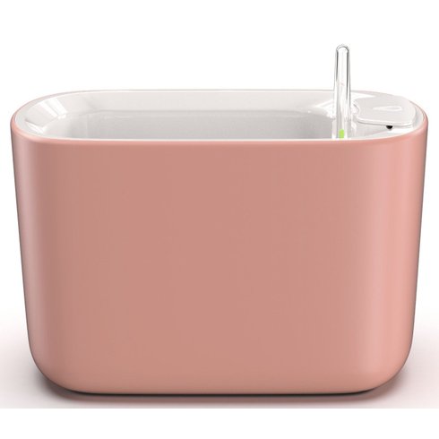 vaso botanika pequeno rose