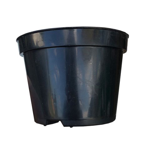 pote 11 vaso nobre frente