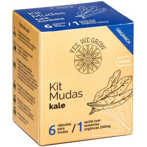 kit muda floribela
