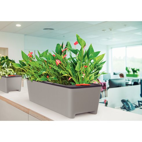 vasounico cinza producao