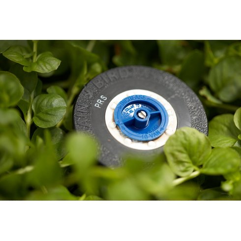 boca van serie10 rainbird landscape