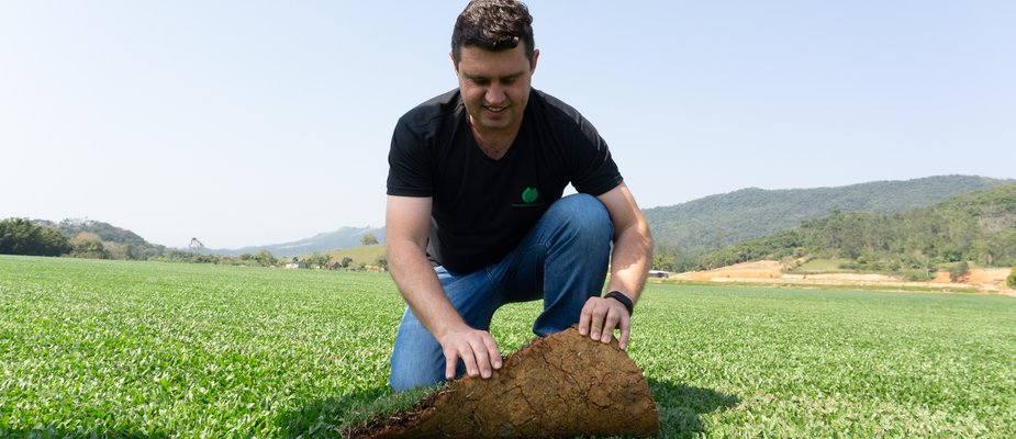 Como Fazer o Plantio de Grama no seu Jardim?