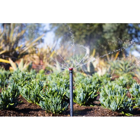 bocal rvan serie24 rainbird landscape amb