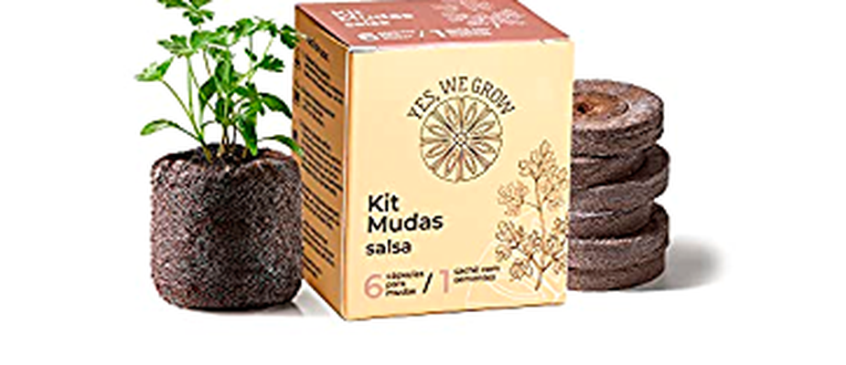 Saiba como Utilizar o Kit de Mudas Yes We Grow