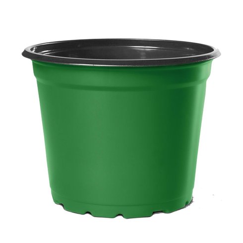 pote holambra np15 verde nutriplan