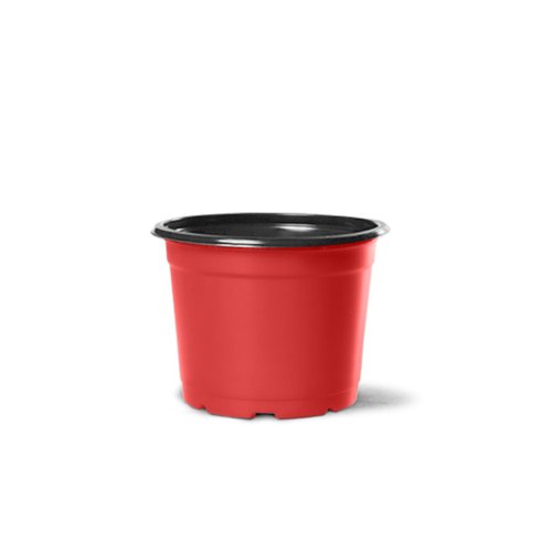 pote holambra np06 vermelho nutriplan