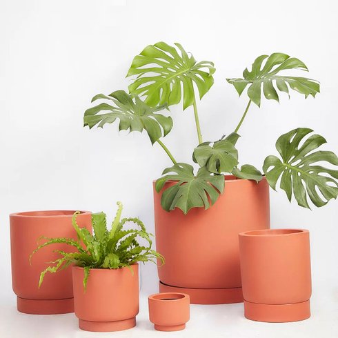 vaso cumbuca alongada ambientado