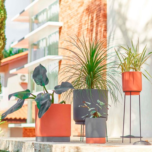 vaso cumbuca alongada ambientada