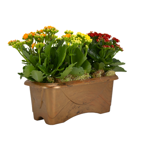 floreira n 1 dourada sem prato ambientada