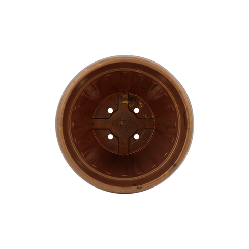 vaso romano n1 dourado cima