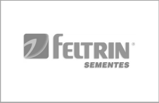 banner marcas 226 146 px 9