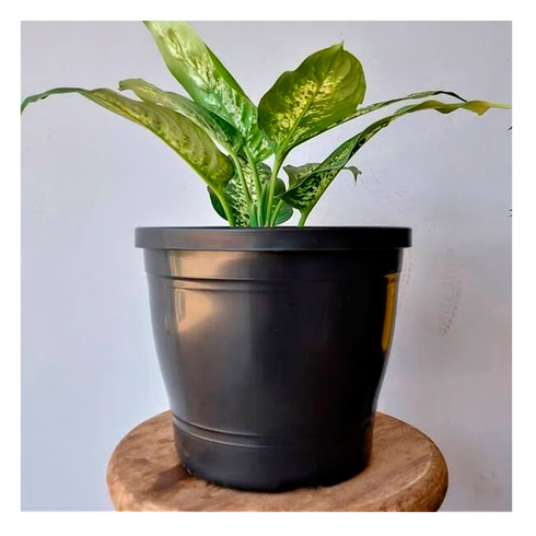 vaso redondo primavera 03 nutriplan preto