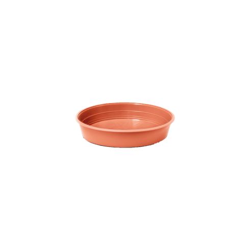6000102 03 prato 00 ceramica