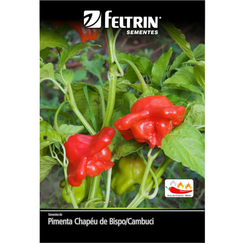 semente pimenta chapu de bispo cambuci feltrin eco 400mg