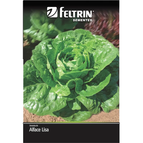 semente alface elisabeth feltrin eco 700mg