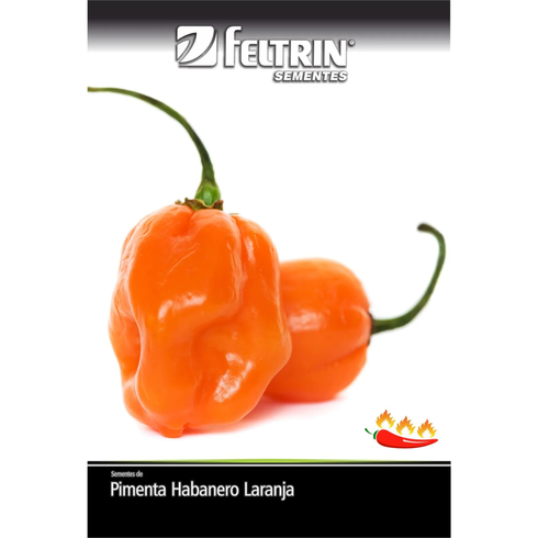 semente pimenta miguelita eco 400mg