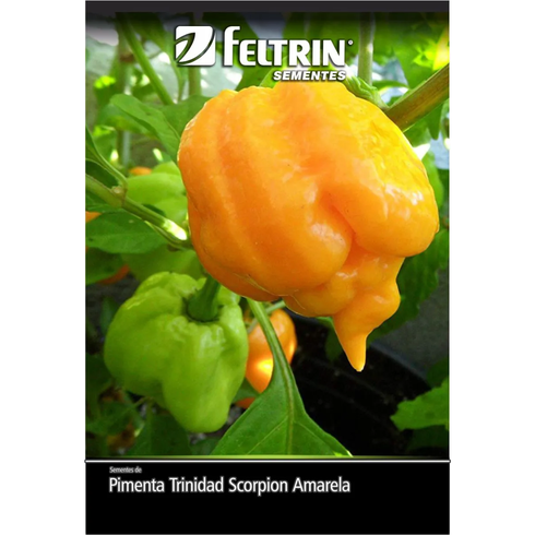 semente pimenta amarela arara feltrin 400mg