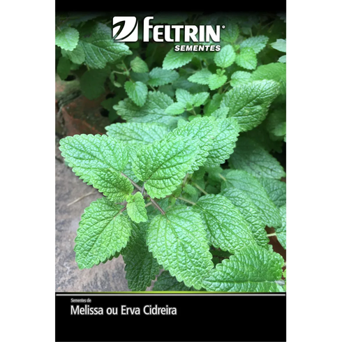 semente melissa erva cidreira ou melissa feltrin eco 150mg