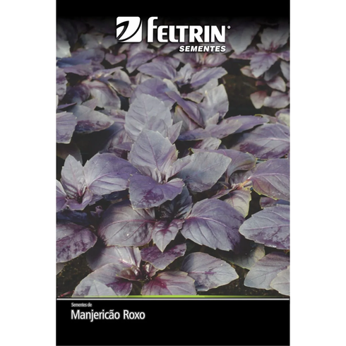 semente manjericao roxo feltrin eco 100mg
