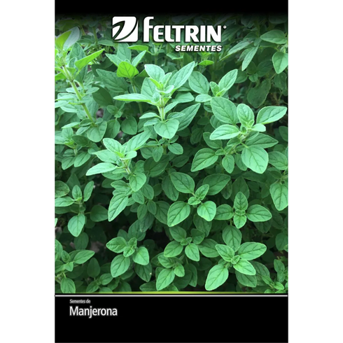 semente manjerona feltrin eco 50mg