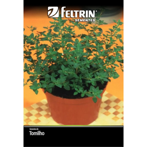 semente tomilho feltrin eco 120mg