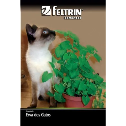 semente erva dos gatos feltrin eco 100mg