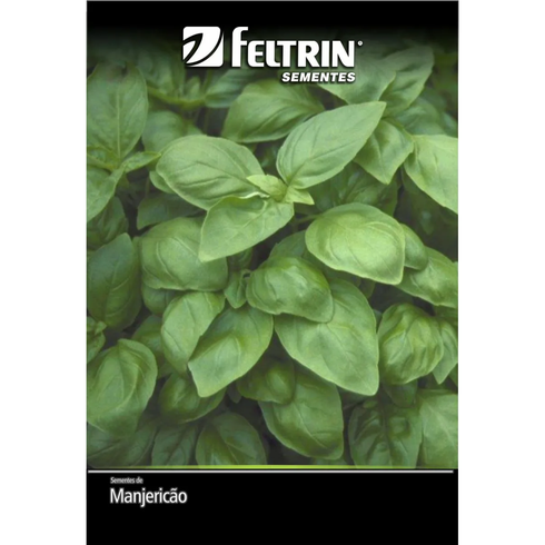semente manjerico dotto feltrin 120mg