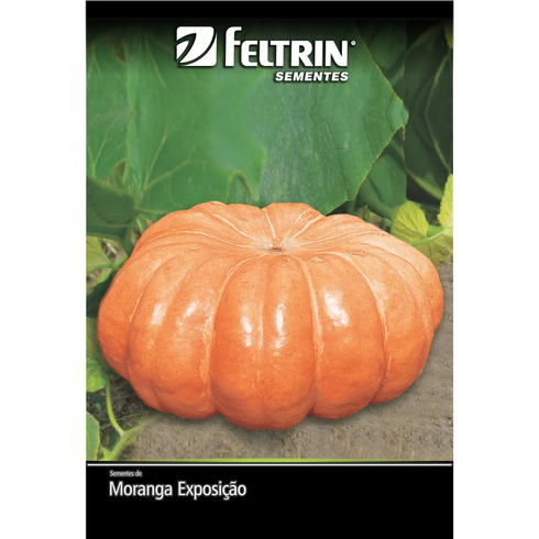 semente moranga exposio golden feltrin 8g