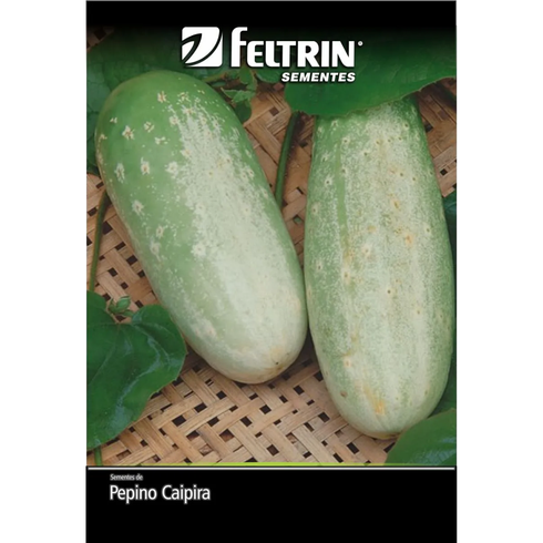 semente pepino esmeralda tipo caipira golden feltrin 7g