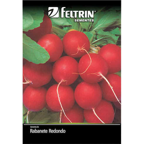 semente rabanete vip crimson selecao especial golden feltrin 10g