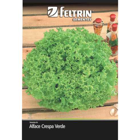 semente alface veneranda feltrin golden 25g