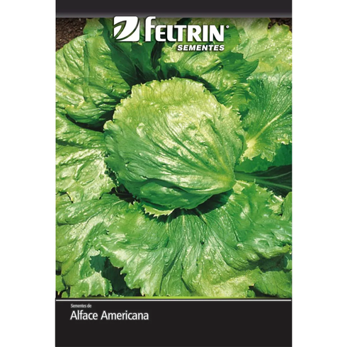 semente alface rafaela americana golden feltrin 25g