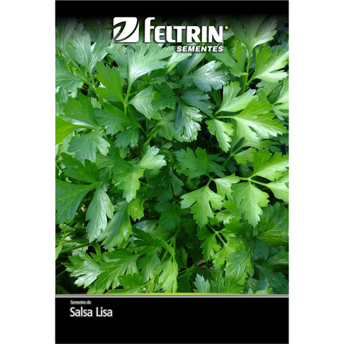 semente de salsa lisa grada portuguesa nova seleo golden feltrin 10g