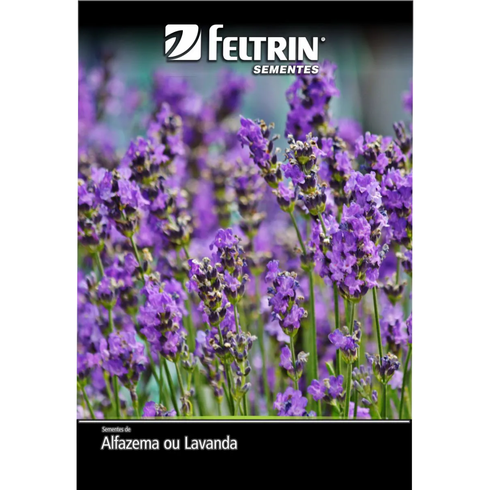 semente alfazema ou lavanda golden feltrin 300mg