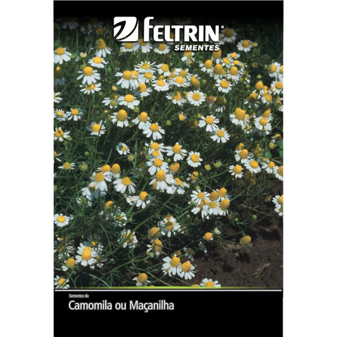 semente camomila ou maanilha golden feltrin 300mg