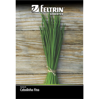 Semente Cebolinha Verde Golden Feltrin