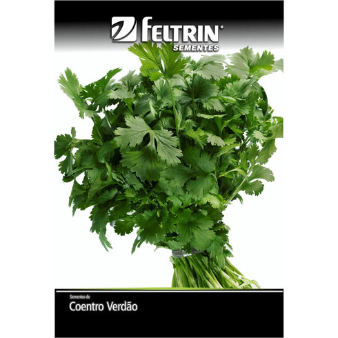 semente coentro verdao SF177 feltrin eco 160g